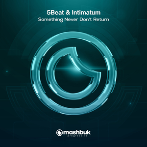 Something Never Don't Return (Original Mix)