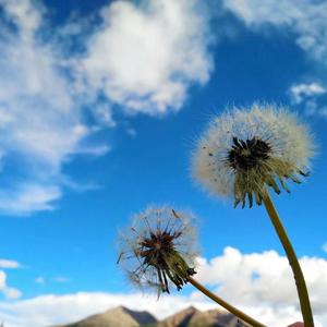 慢慢喜欢你（钢琴版）