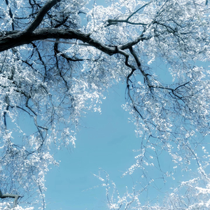 你的关心很像爱情