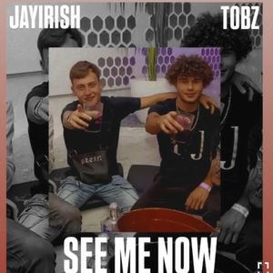 See me now (feat. Tobz)