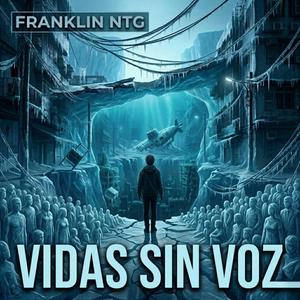 VIDAS SIN VOZ
