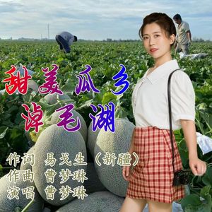 甜美瓜乡淖毛湖