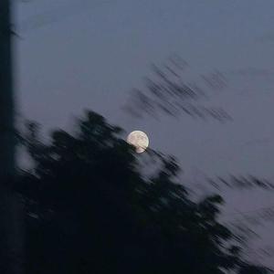 【Free】"drippin" boombap beat