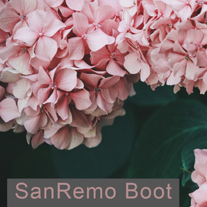 Benvenuti A Savona (Benvenuti In Liguria) (Radio Andy)