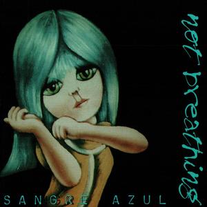 Electromagnetic Disembowler