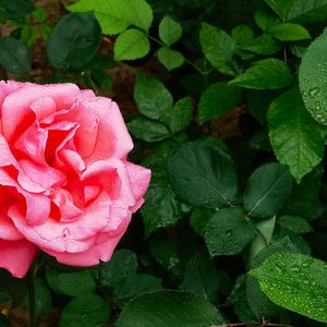 鐗╄仈缃戠殑杩炴帴