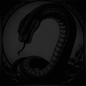 White Wine With White Owls