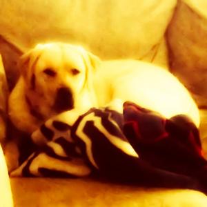 206 (i hate weekends)