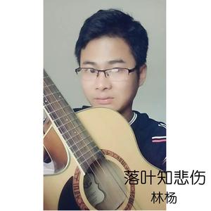 落叶知悲伤