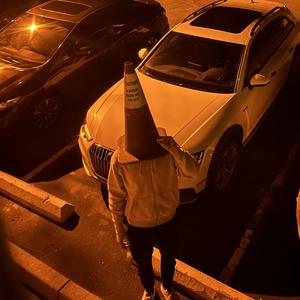 I have a pet zebra in my basement