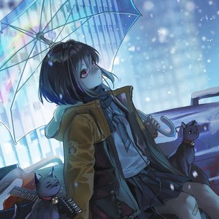 冬日暖歌｜倦怠生活与幻想旅行