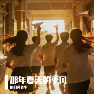 那年夏天的季风
