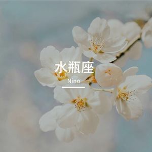 水瓶座