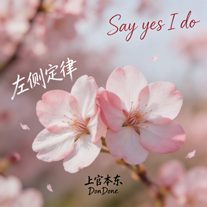 左侧定律