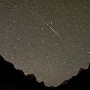 玫瑰（翻自 贰佰）