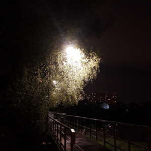 Kassette 02 Biochemie