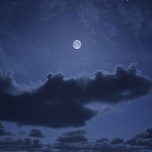 月光の雲海（箏）「天空の城ラピュタ」より