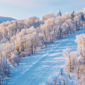 大风吹-星星点燃