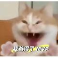 哎呀我爸得了MVP (旋转猫+灵感菇版)