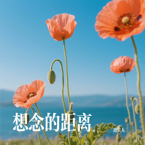 想念的距离