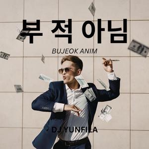 부 적 아님 (Bujeok Anim)