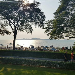 Твой разум - Компас