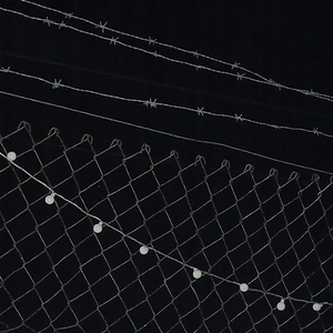 Ser (Remasterizado 2026)