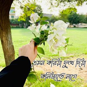 এমন করিয়া দুংখ দিয়া কলিজাতে লাগে