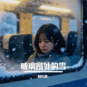 玻璃窗外的雪