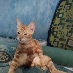 Keindahan (Acoustic)