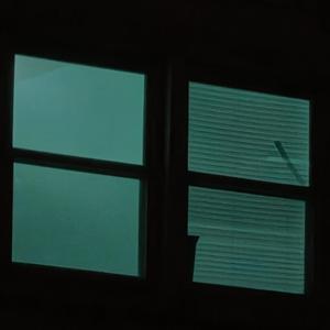 Cucumber Day (Eat The Flowers)