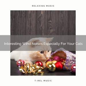 Interesting Woods Noises For Our Cats