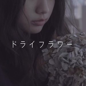 ドライフラワー（翻自 優里）