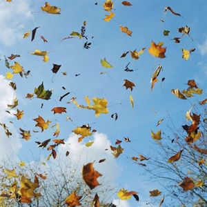 未来的回声_[cut_161sec]