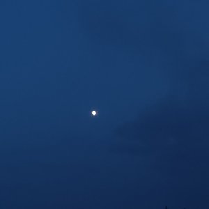 荼靡清梦（翻自 代号鸢）