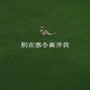 你从来没爱过我