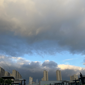 爱终究是场赌注