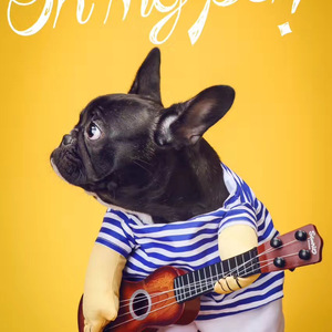 越过山丘（Cover 杨宗纬 / 李雅）