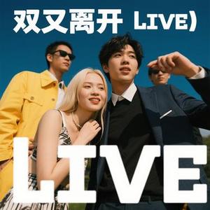 出现又离开 (Live)(Cover 梁博)