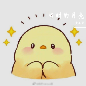 当时的月亮