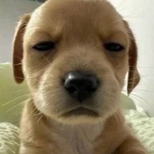 cee lo green (Sped Up)