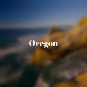 Disaster Meteorological