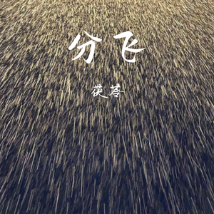 分飞