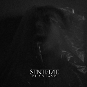 Phantasm (feat. Rayhan Syarif)