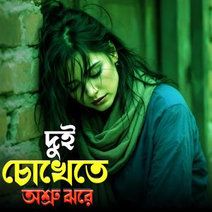 দুই চোখেতে অস্ত্র যরে