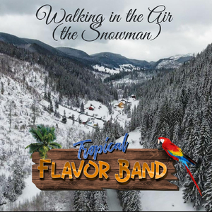 Walking in the Air (The Snowman)