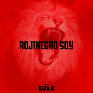 Rojinegro Soy