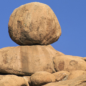 あさきゆめみし