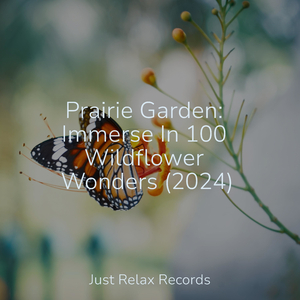 Mystic Time Warp Melodies