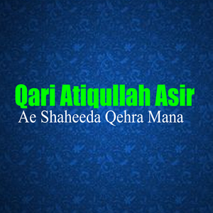 Ne Ye Sok Nasir Ne Madad Gar Shta